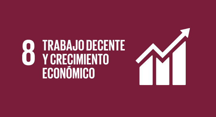 En este momento estás viendo ODS Objetivo 8: Trabajo decente y crecimiento económico