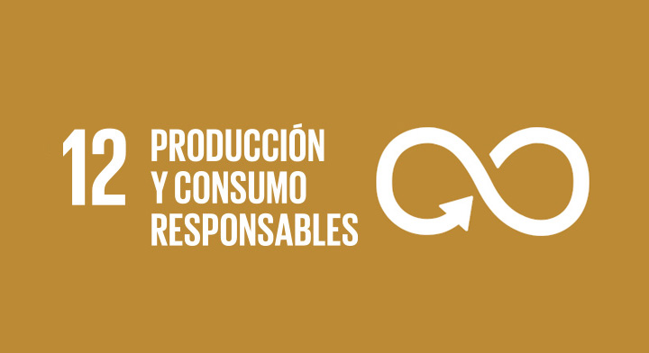 Lee más sobre el artículo ODS – Objetivo 12: Una producción y un consumo responsables