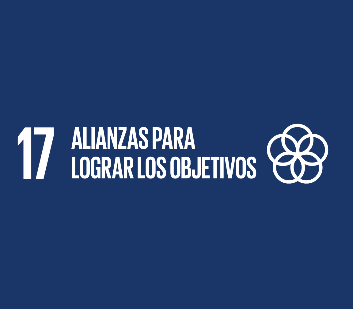 En este momento estás viendo ODS – OBJETIVO 17: ALIANZAS PARA AVANZAR