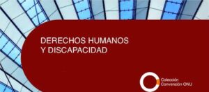 Lee más sobre el artículo Informe DDHH y Discapacidad del CERMI 2020