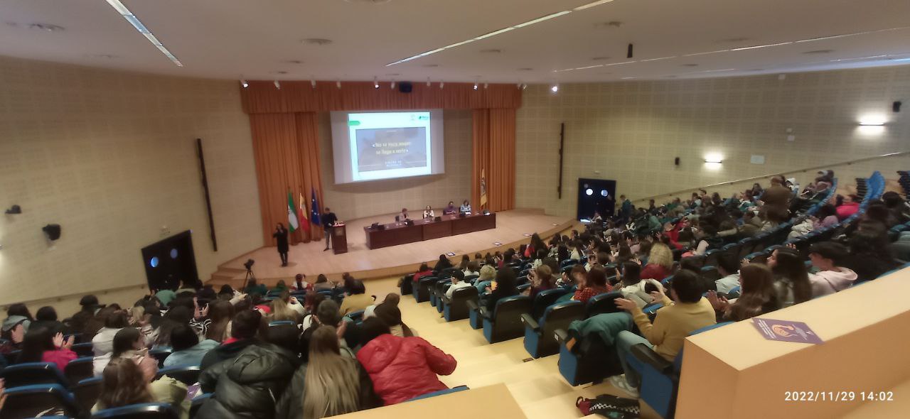 Las Jornadas sobre Accesibilidad Cognitiva y Violencia de Género en Sevilla le ponen el broche de oro a 4 años de trabajo